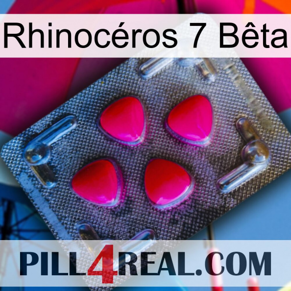 Rhinocéros 7 Bêta 13.jpg